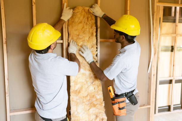 Best Local Insulation Services  in Hawthorn Woods, IL