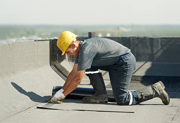 Professional Insulation Contractor in Hawthorn Woods, IL